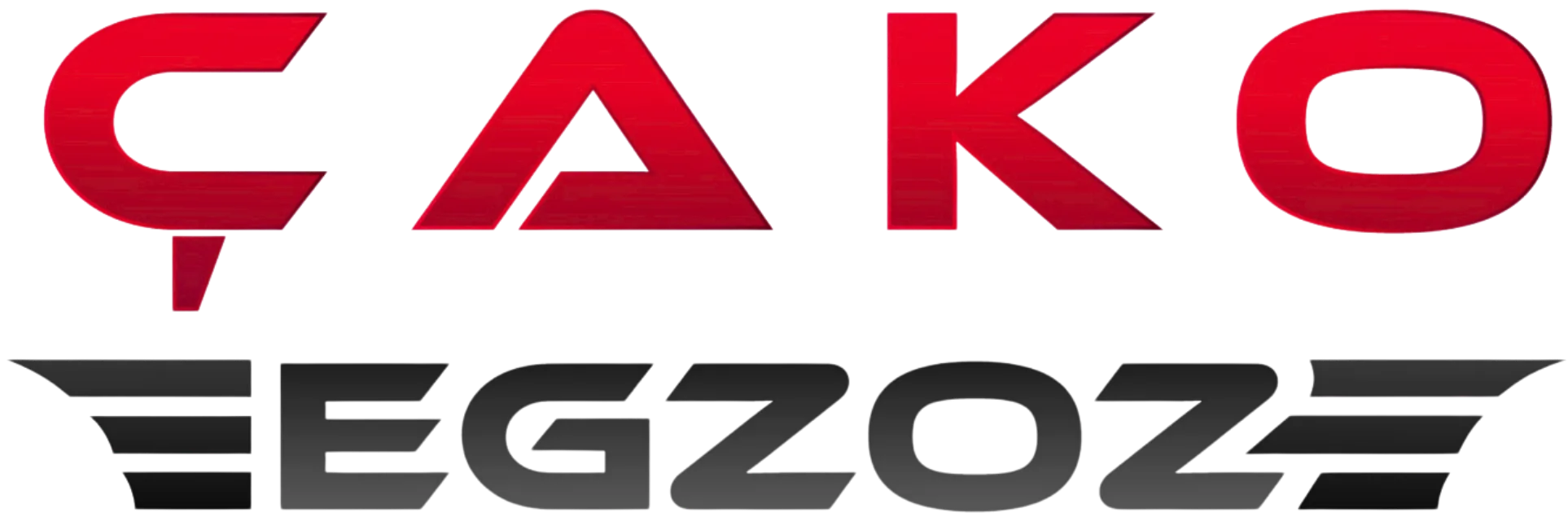 ÇAKO EGZOZ